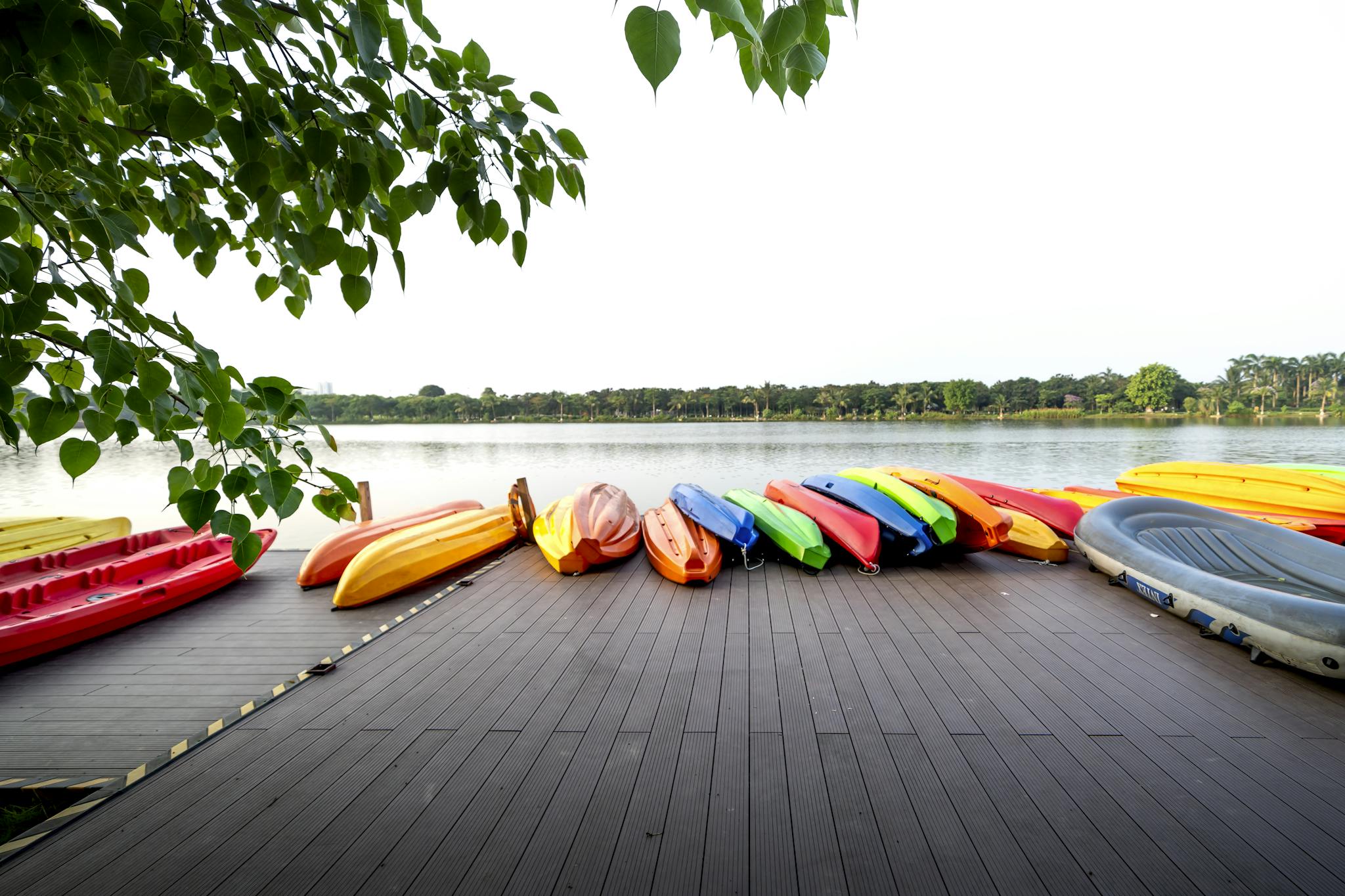 Multicolored canoes and boat placed on wooden dock near green trees by lake in summer